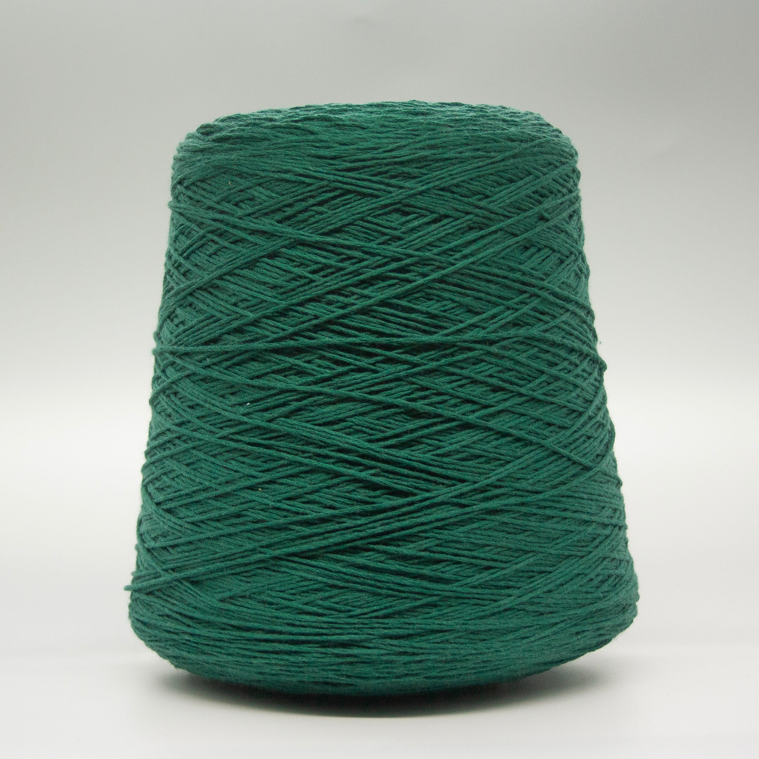 Albatros – 55% Mulberry Silk · 45% Mako Cotton Fingering yarn by Zegna Baruffa