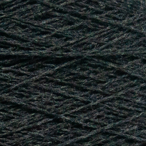 EcoWinter