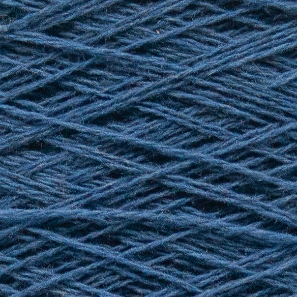 EcoWinter