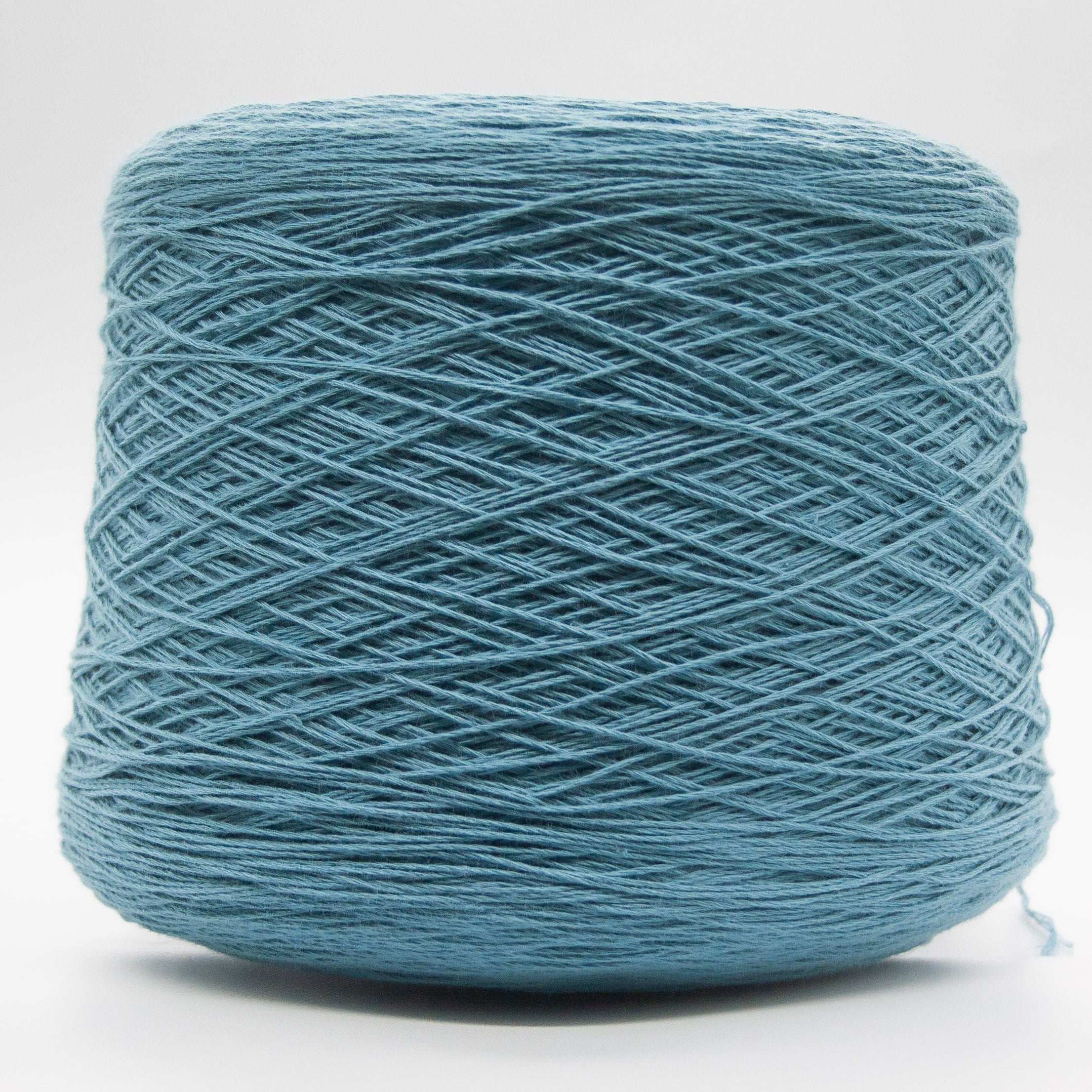 Pure Cottone – 100% Cotton Fingering yarn by Zegna Baruffa in blue