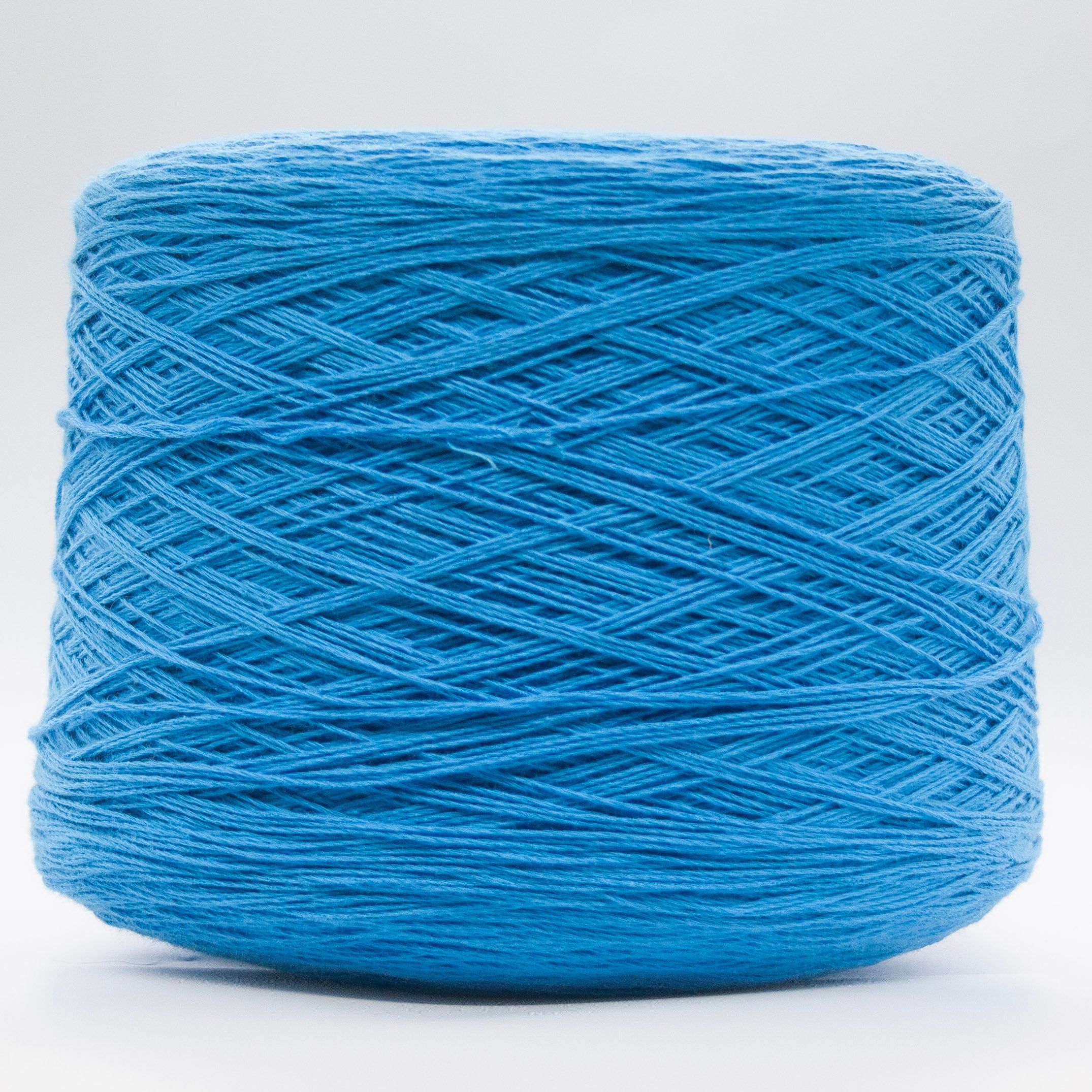 Pure Cottone – 100% Cotton Fingering yarn by Zegna Baruffa in blue