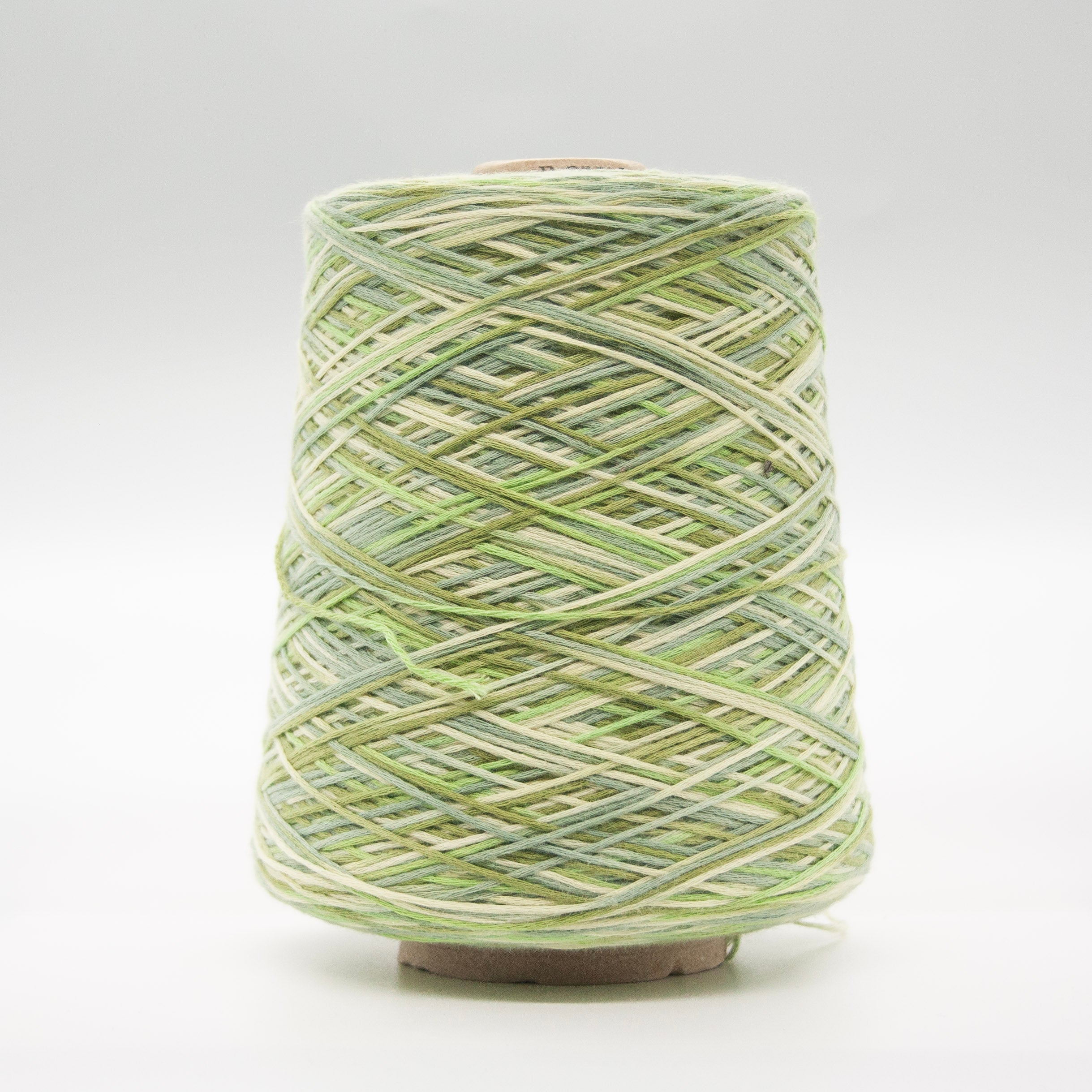 Cone of Fettuccia Stampata yarn in Garden by Storai Wild