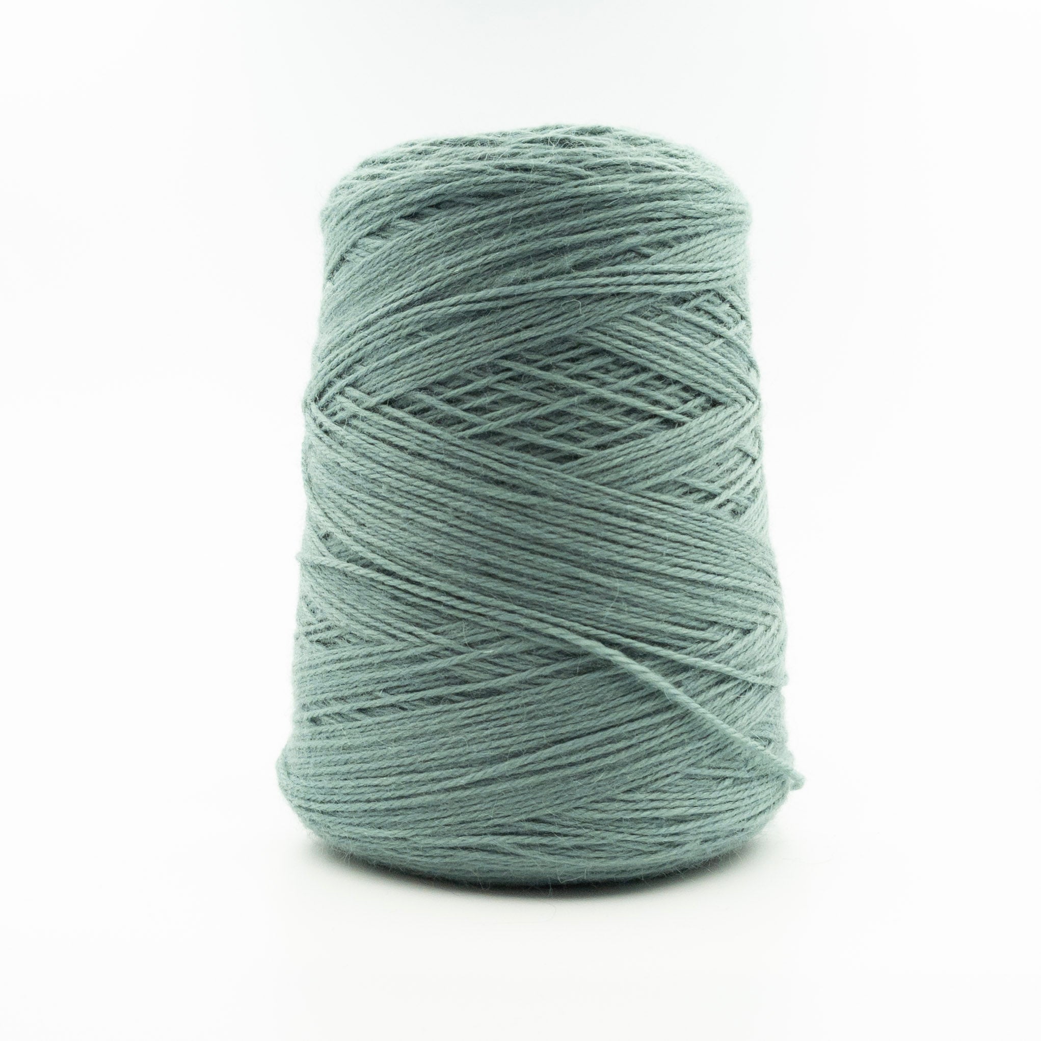 Cone of Meri Wool yarn in Beryl Green by Filati Venezia