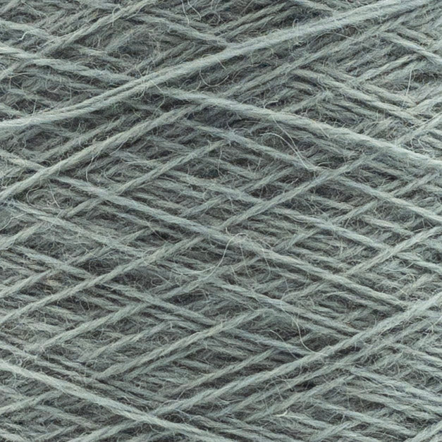 Close up of Renegade by Olimpias Eucalipto – Pallido