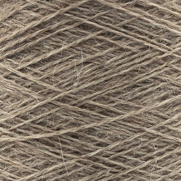 Close up of Renegade by Olimpias Tortora – Scura