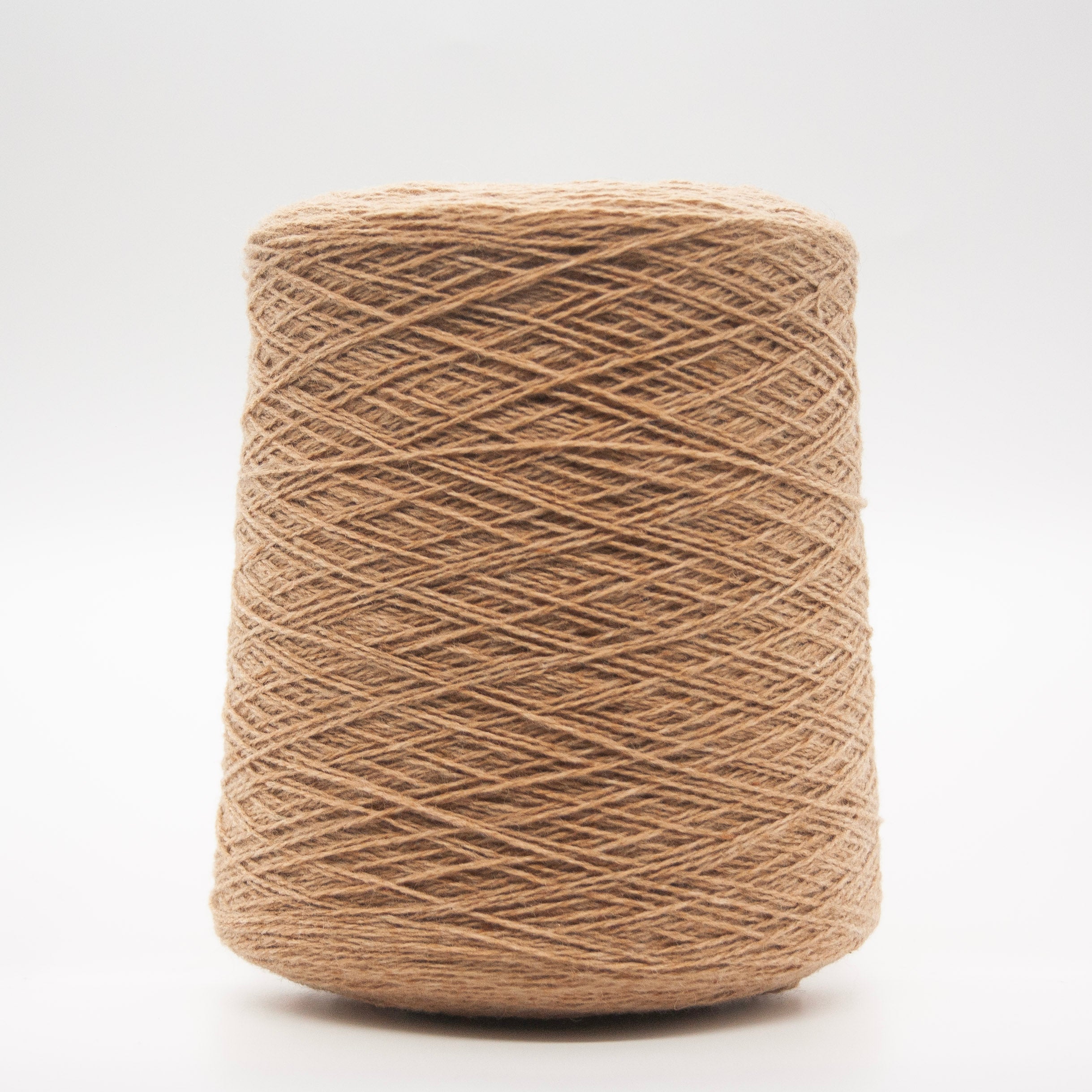 Cone of Settanta yarn in Cammello by Papi Fabio